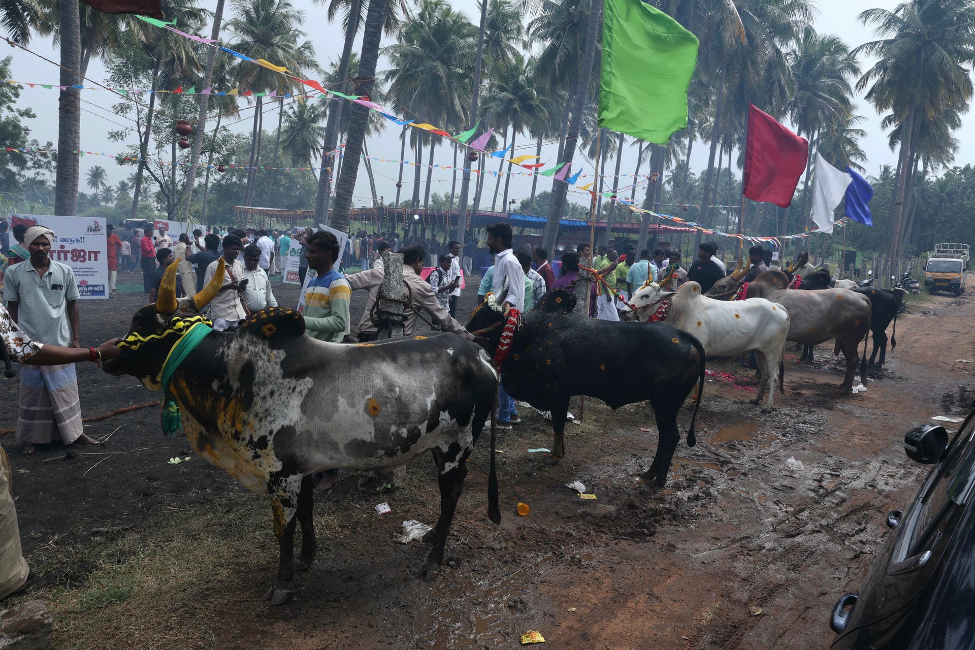 The Rise 16th Global Summit (Sangam5), Madurai, India, 2026 — Photo 44 of 45